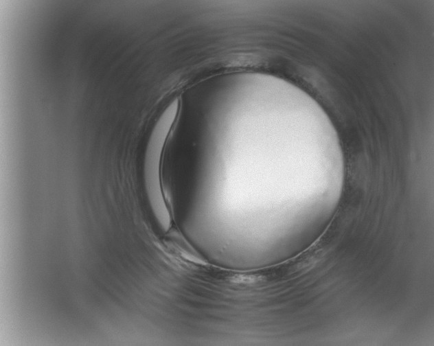 X0000067480261200604281928