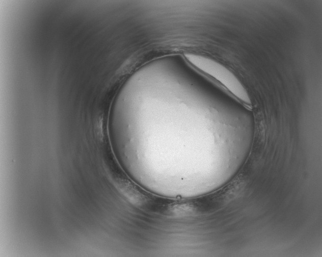 X0000067480262200604281928