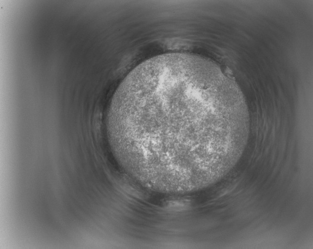 X0000067480263200604281928