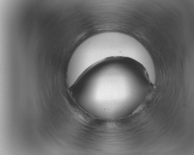 X0000067480264200604281928