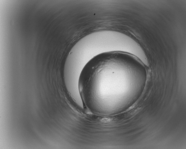 X0000067480265200604281928