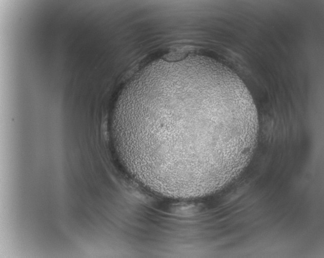 X0000067480267200604281928