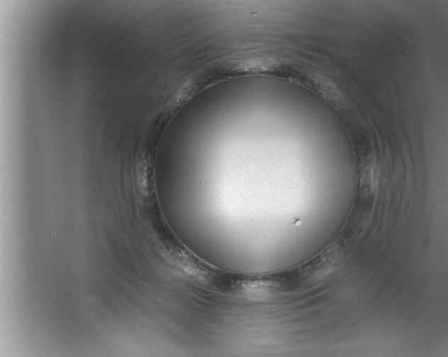 X0000067480268200604281928