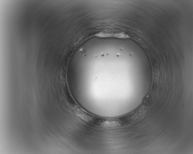 X0000067480270200604281928