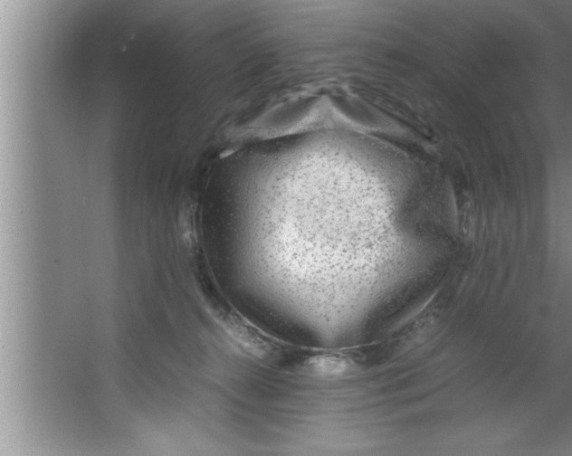 X0000067480272200604281928