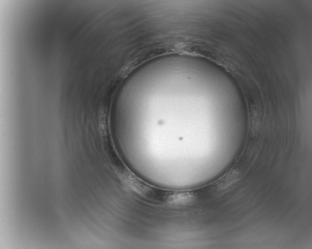 X0000067480274200604281928