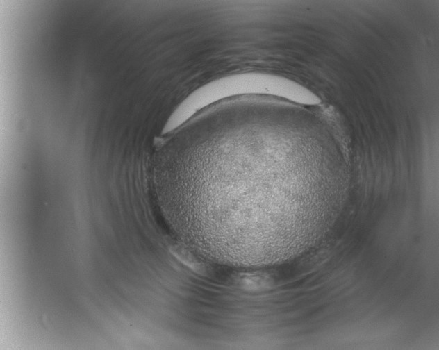 X0000067480275200604281928