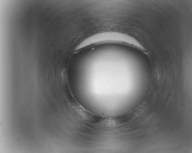 X0000067480276200604281928