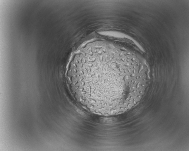 X0000067480277200604281928