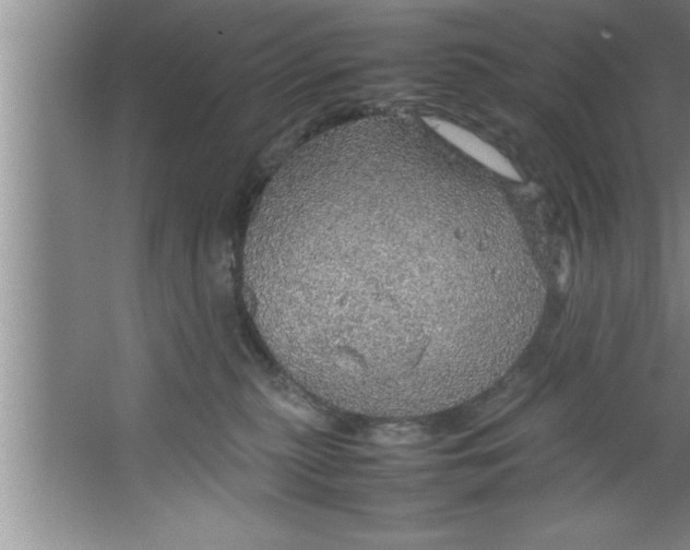 X0000067480279200604281928