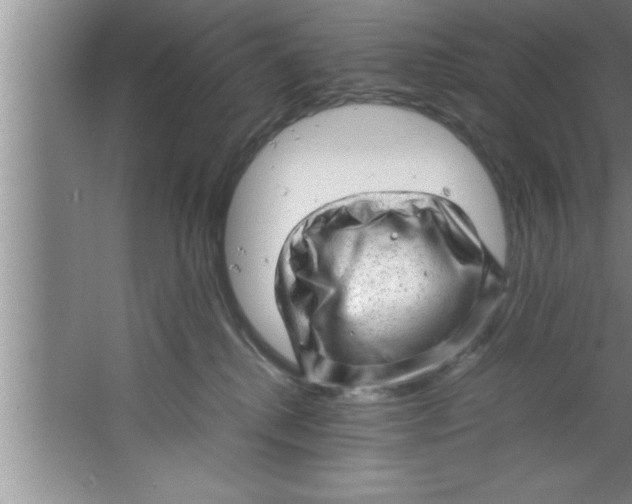 X0000067480280200604281928