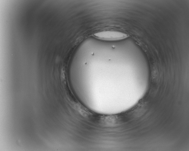 X0000067480282200604281928