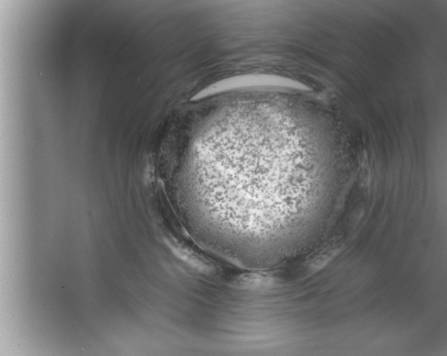 X0000067480284200604281928