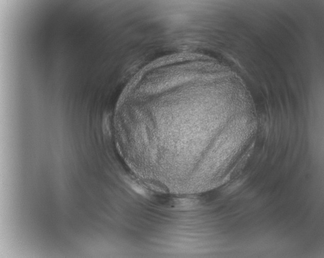 X0000067480286200604281928