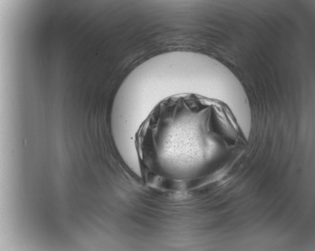 X0000067480287200604281928