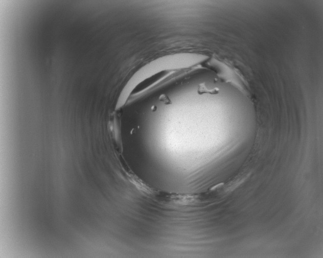 X0000067480288200604281928