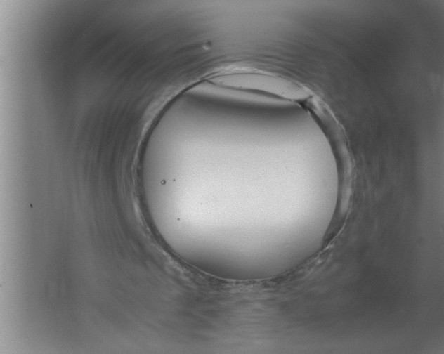 X0000067480289200604281927