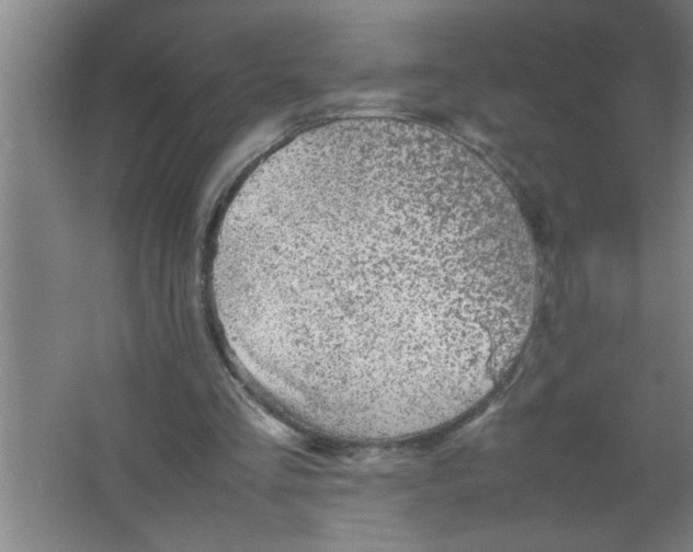 X0000067480293200604281927