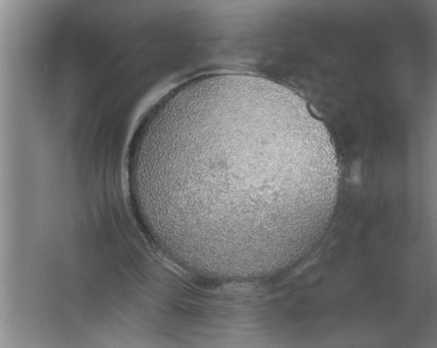 X0000067480294200604281927