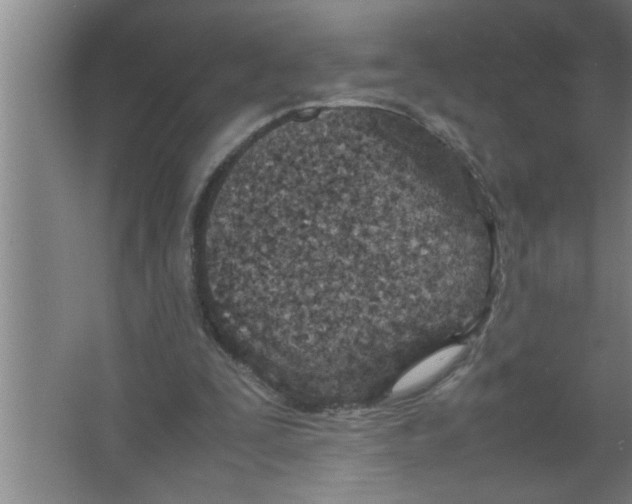 X0000067480295200604281927