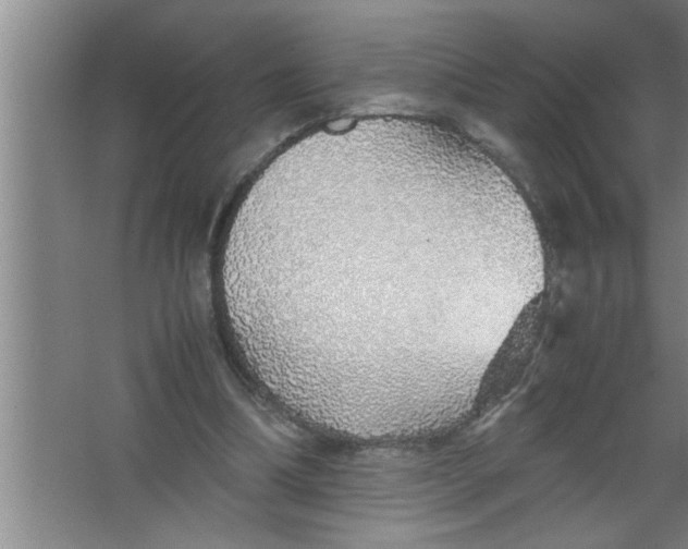 X0000067480298200604281927