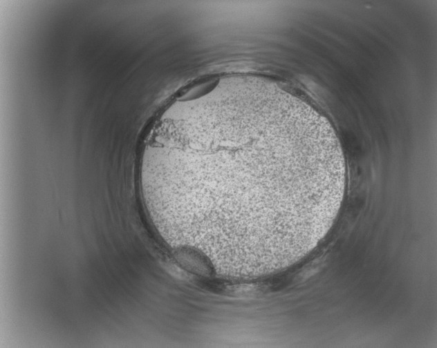 X0000067480301200604281927