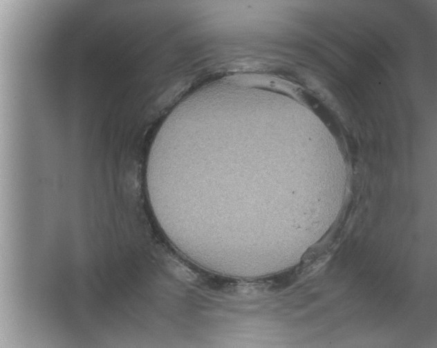 X0000067480305200604281927