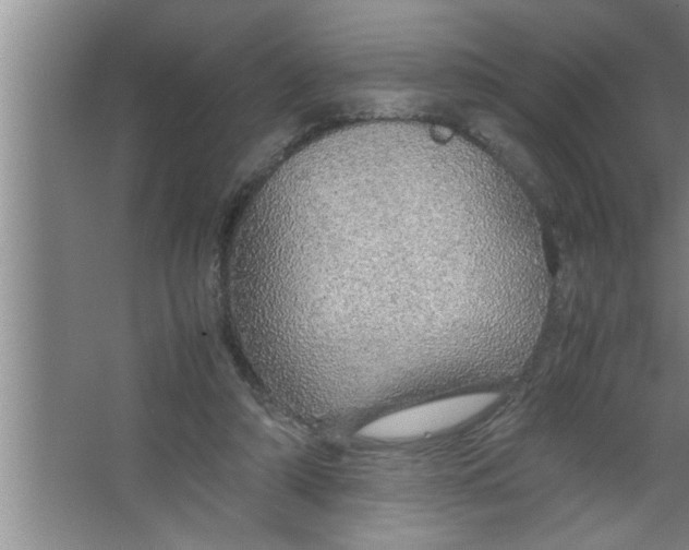 X0000067480306200604281927