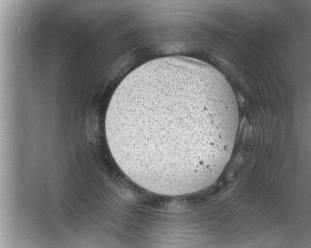 X0000067480308200604281927