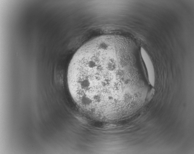 X0000067480315200604281927