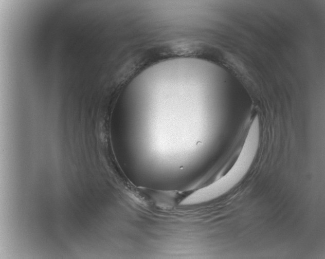 X0000067480317200604281927