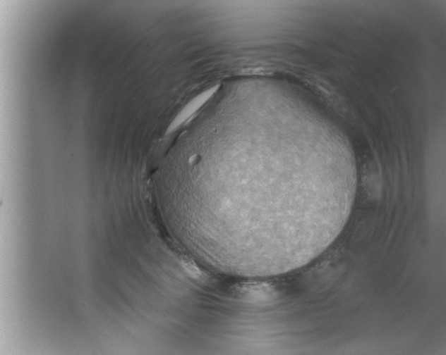 X0000067480322200604281927