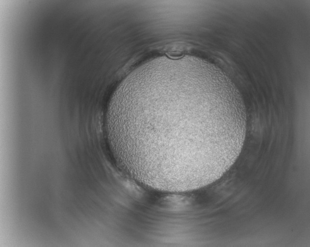 X0000067480326200604281927