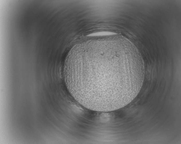 X0000067480330200604281926