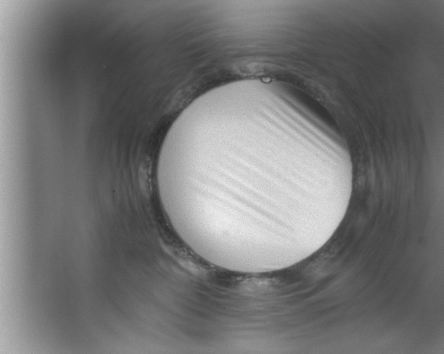 X0000067480332200604281926