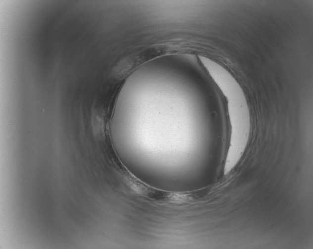 X0000067480333200604281926