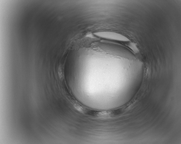 X0000067480335200604281926