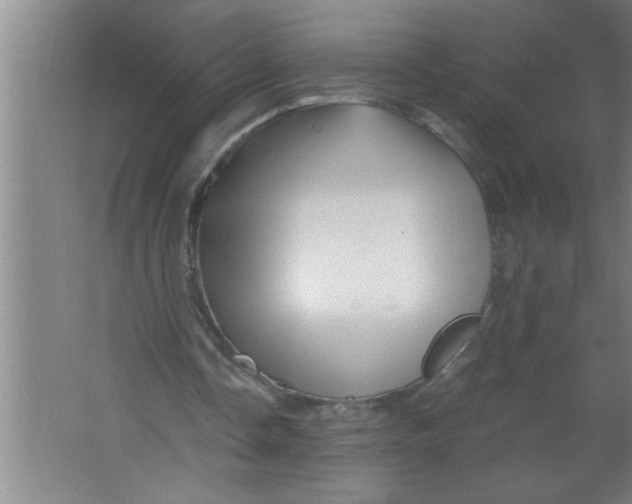 X0000067480338200604281926