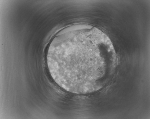 X0000067480339200604281926