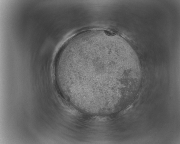 X0000067480343200604281926