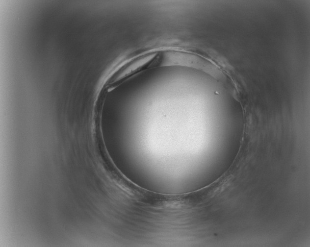 X0000067480344200604281926