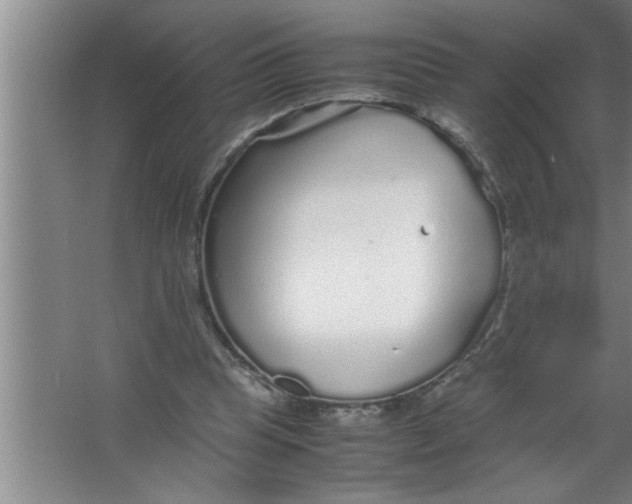 X0000067480345200604281926