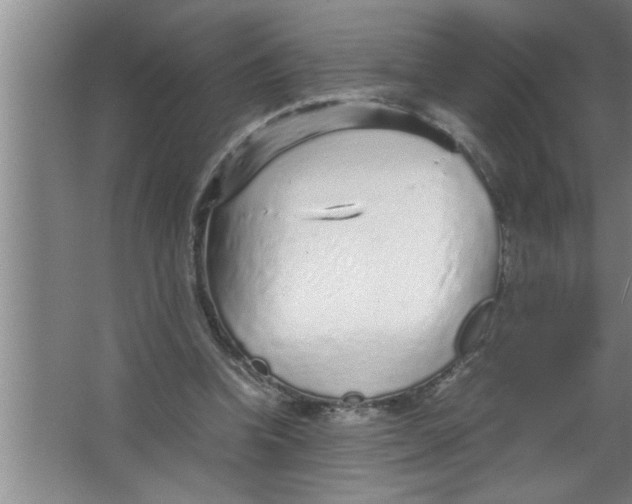 X0000067480346200604281926