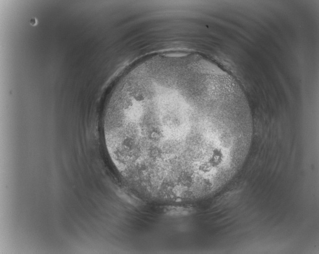 X0000067480347200604281926