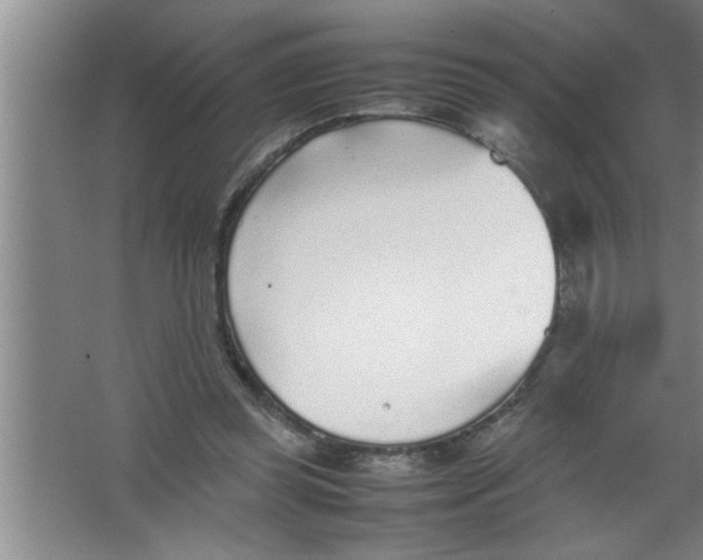 X0000067480349200604281926