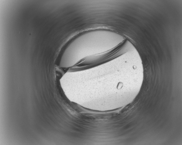 X0000067480350200604281926