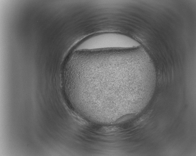 X0000067480351200604281926