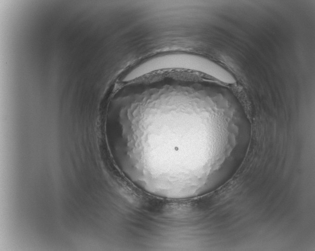 X0000067480354200604281926