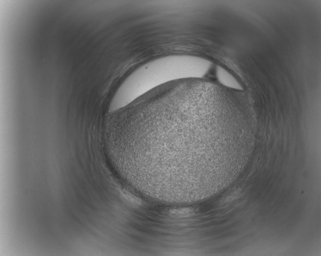 X0000067480357200604281926