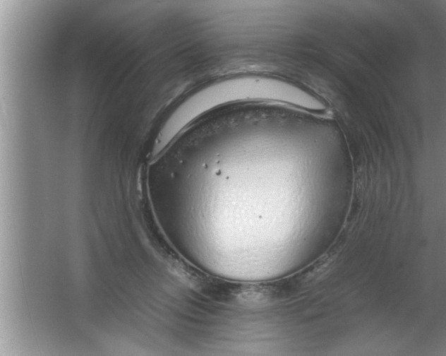 X0000067480358200604281926